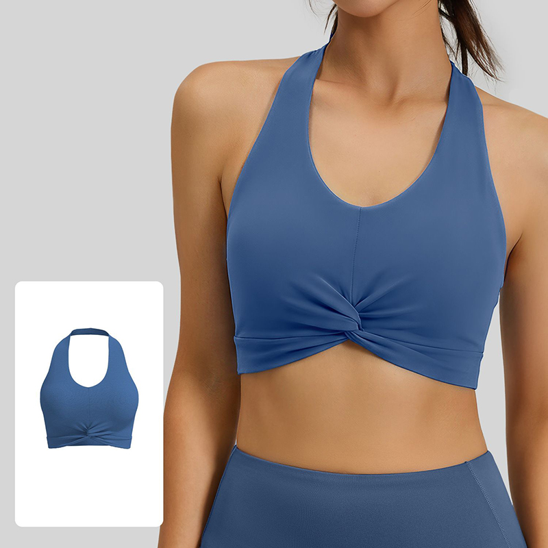 New Women Halter Neck Sports B - đánh giá và giá Plunge Bra Push Up