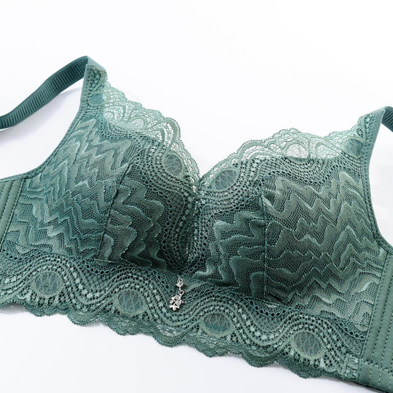 Women Lace Underwears Bra With - đánh giá và giá Nursing Bra Clip