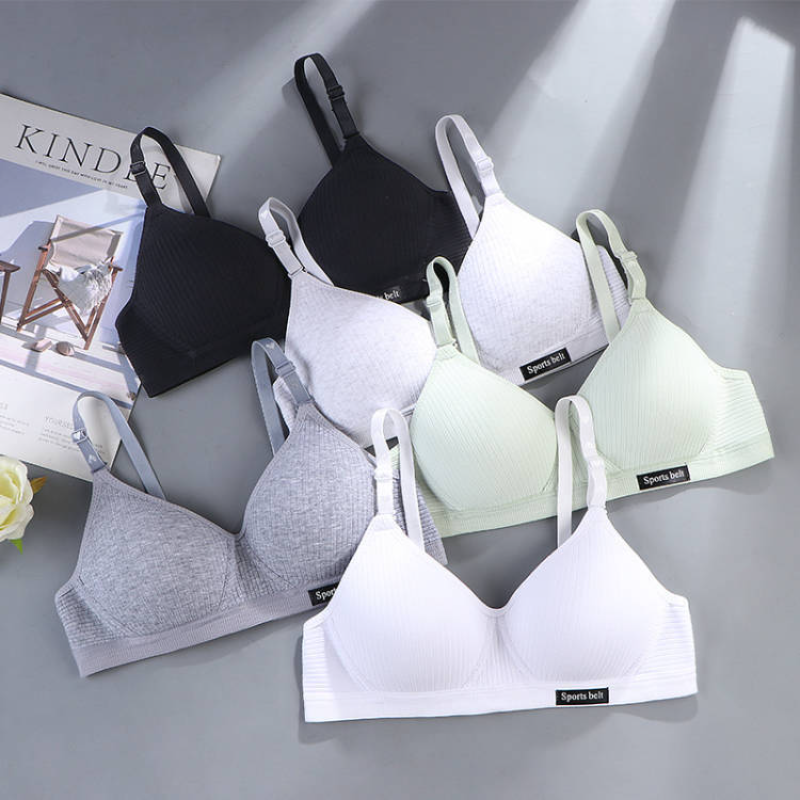 Women Cotton Underwear AB Cup  - đánh giá và giá Cotton Bra Everyday