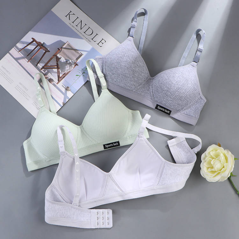 Women Cotton Underwear AB Cup  - đánh giá và giá Cotton Bra Everyday