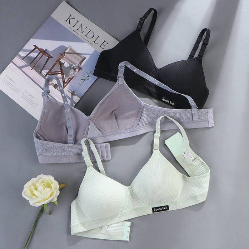 Women Cotton Underwear AB Cup  - đánh giá và giá Cotton Bra Everyday
